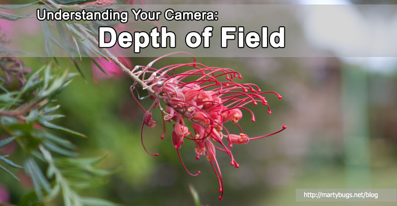 Depth of Field