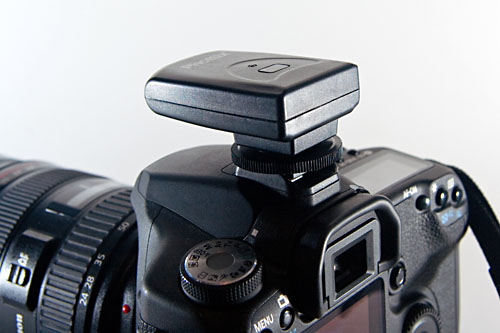 Tetra transmitter mounted on hot shoe of a Canon 50D