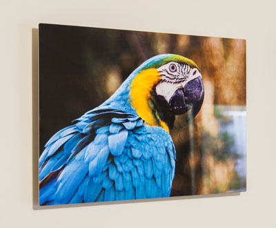 ShinyPrints metal print