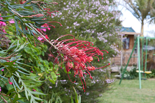 larger depth-of-field due to lens being stopped down to a small aperture of f/22