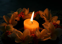 Candle surrounded by frangipanis