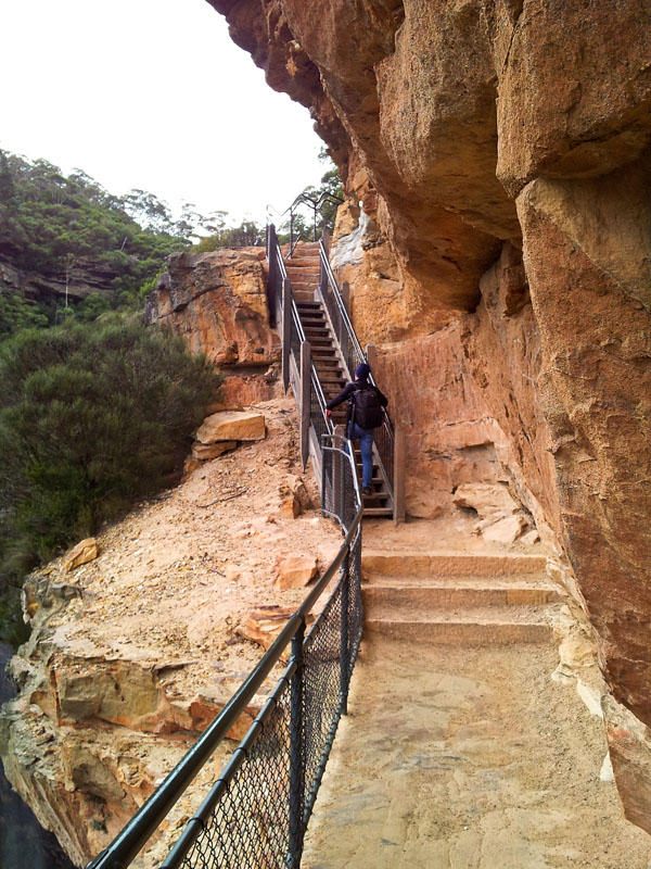 it's a long way back up from Wentworth Falls