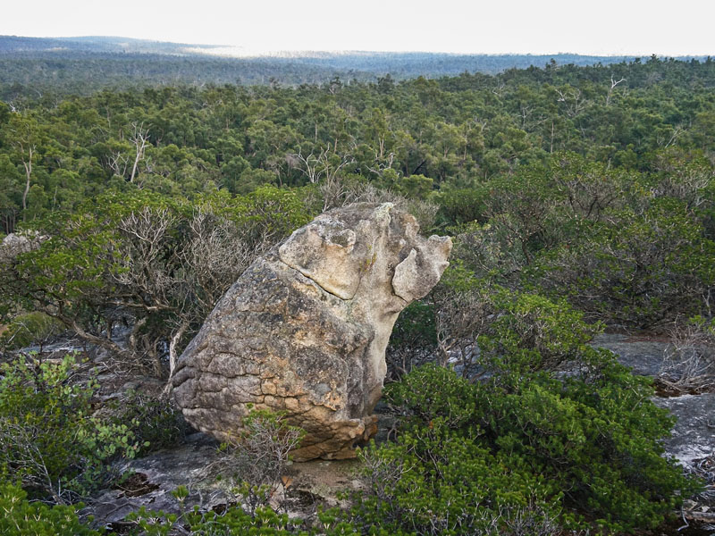 Dog Rock