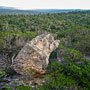 Dog Rock