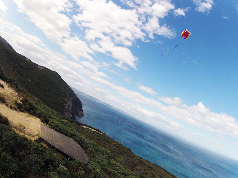 kite in the sky