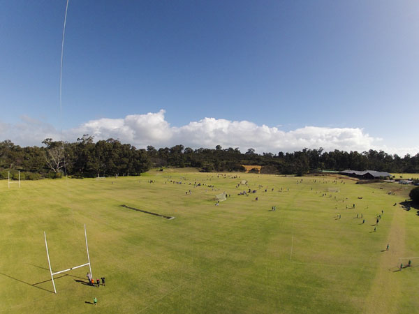 soccer fields