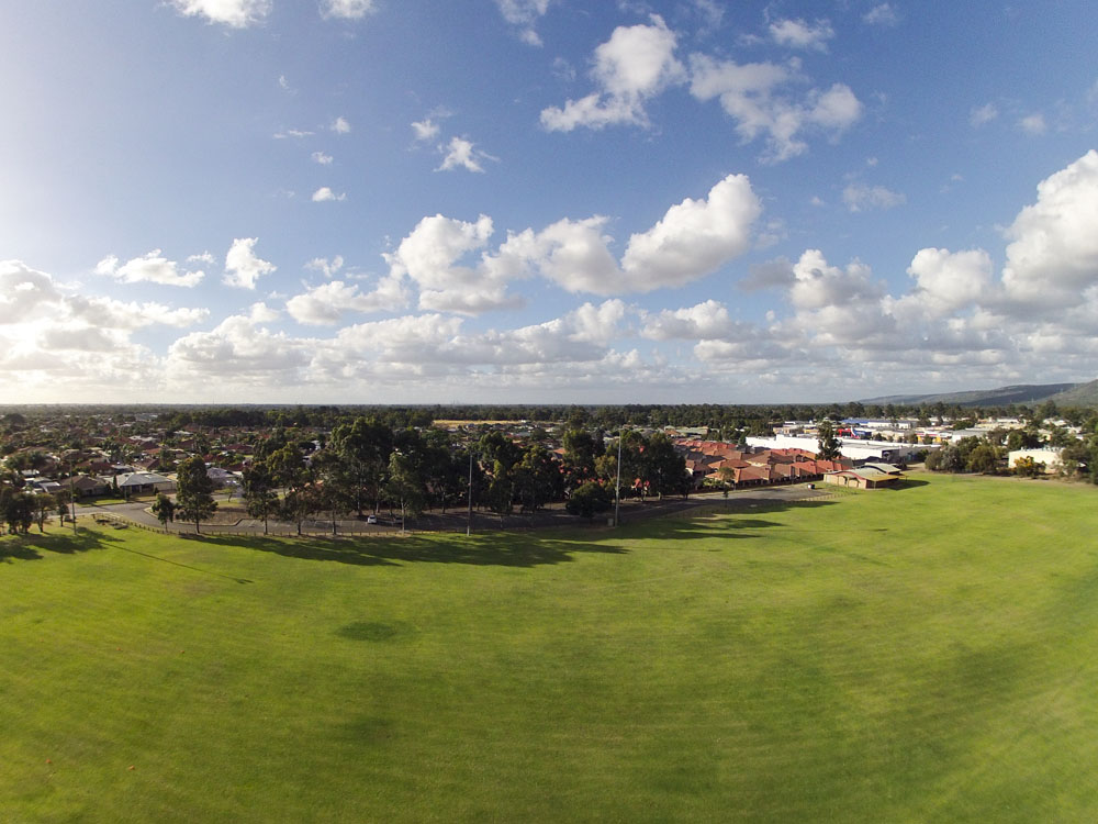 Seville Grove