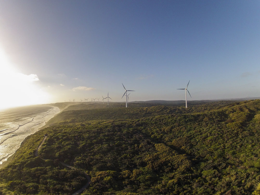 Albany Wind Farm