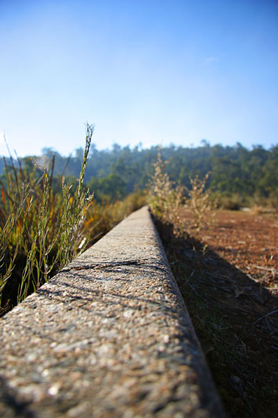 into the distance