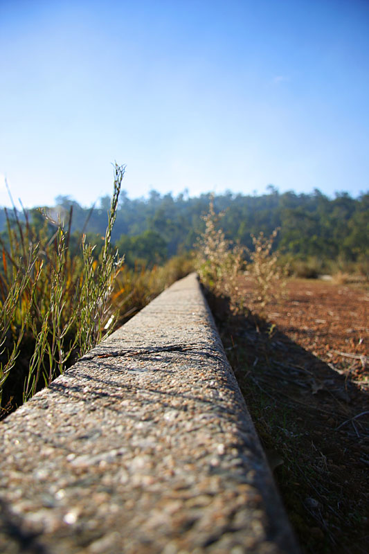 into the distance