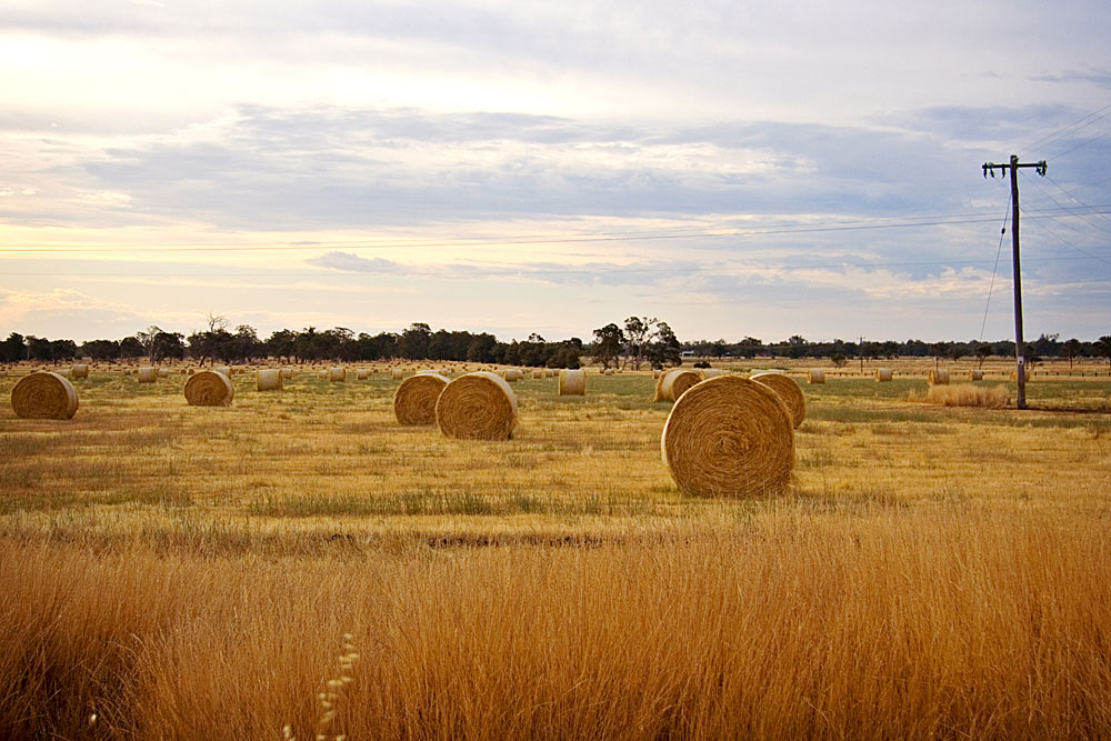 hay bales