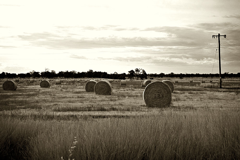 hay bales