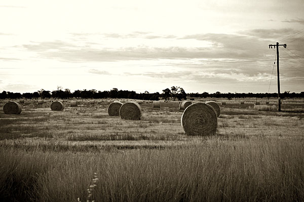 hay bales