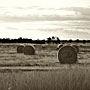 hay bales