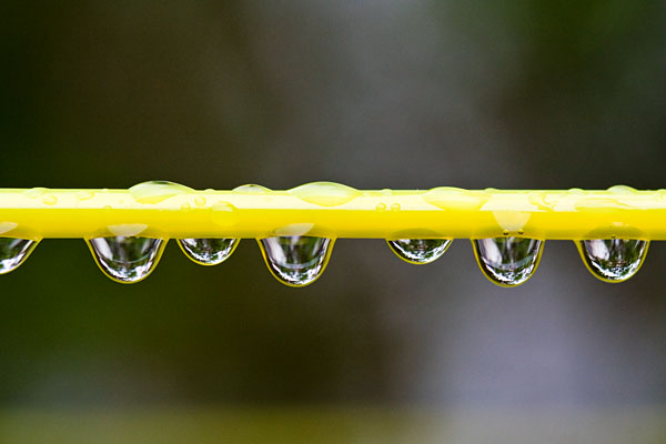 rain drops on the washing line