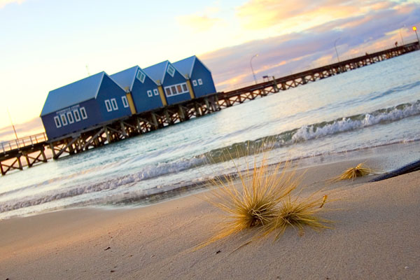 dune grass and the Busselton Jetty