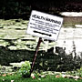 health warning!