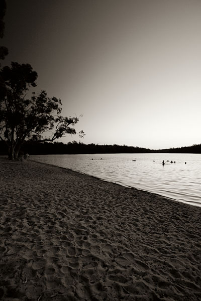 the lake at dusk, in sepia