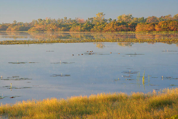 Dawn at Mamukala Wetlands