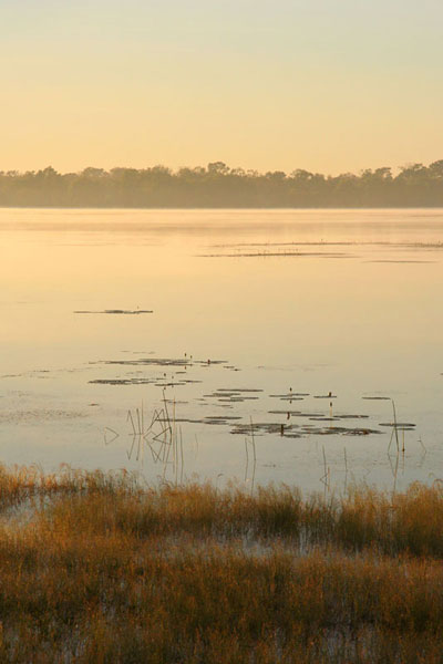 Dawn at Mamukala Wetlands