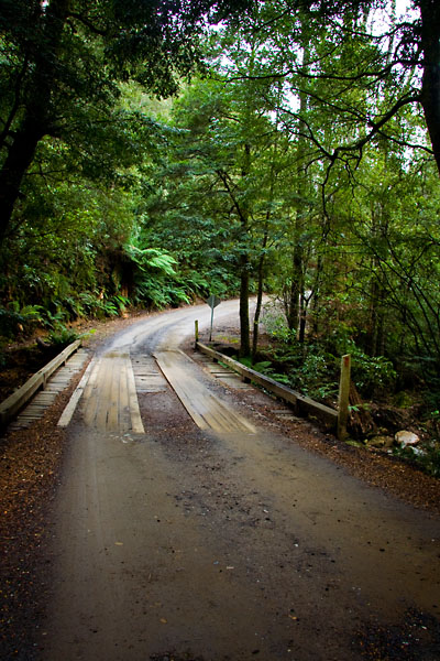 wooden bridge