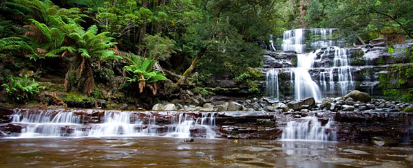 Liffey Falls