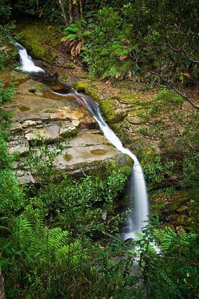Third Cascade at Liffey Falls