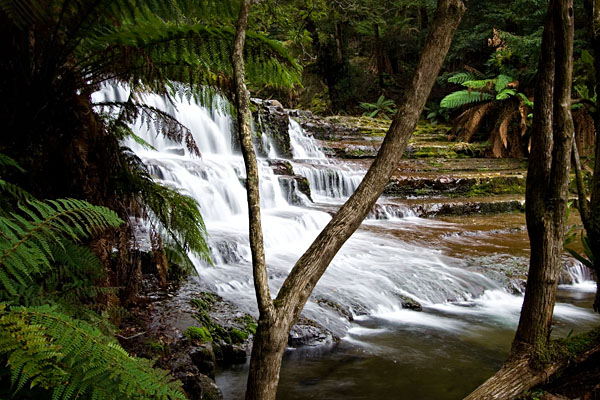 Second Cascade at Liffey Falls