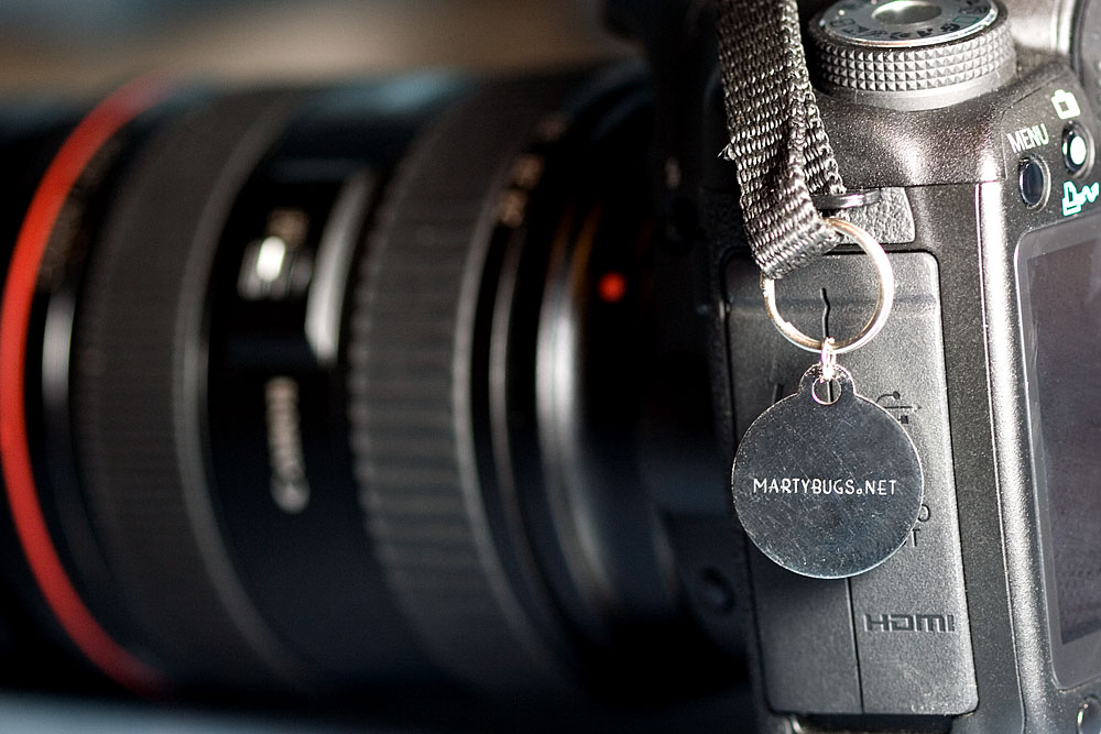name tag on the camera body