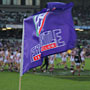 Dockers flag