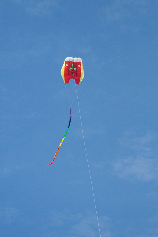 FlowForm 16 kite with 5m fuzzy tail