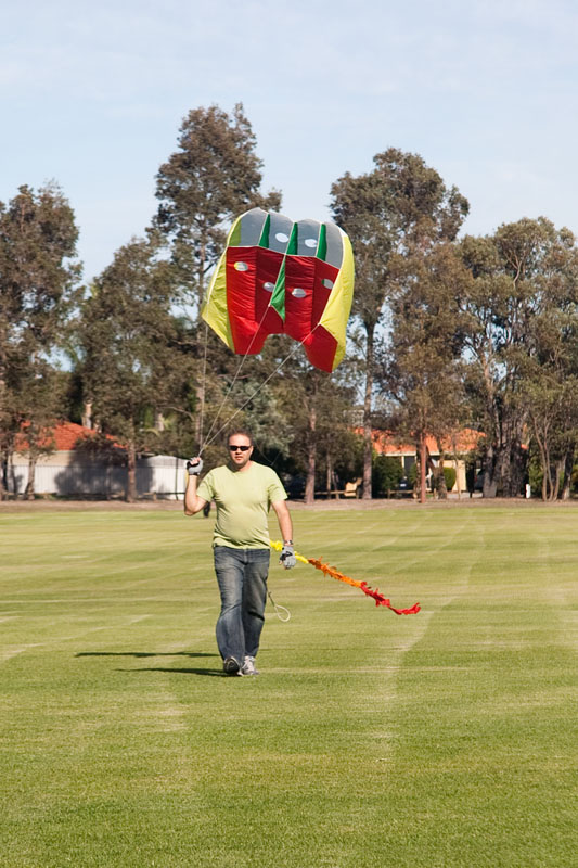 FlowForm 16 kite with 5m fuzzy tail