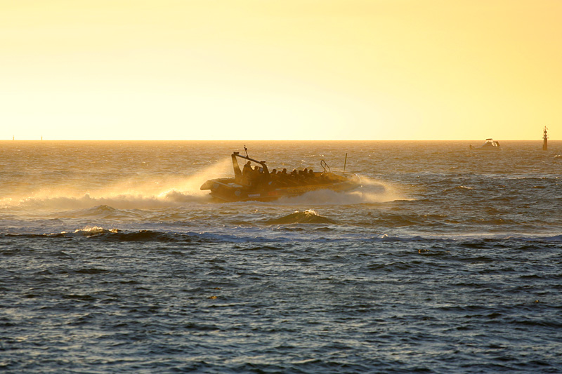 jet boat at sunset