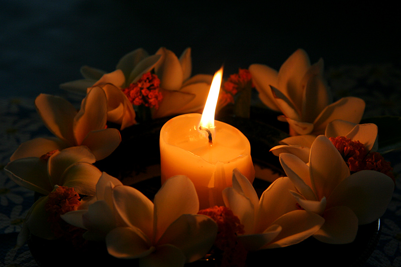Candle surrounded by frangipanis