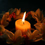 Candle surrounded by frangipanis