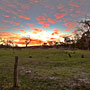 early morning sunrise photos