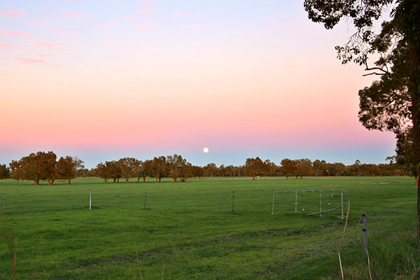 Moon setting through sunrise colours