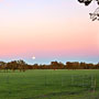 Moon setting through sunrise colours