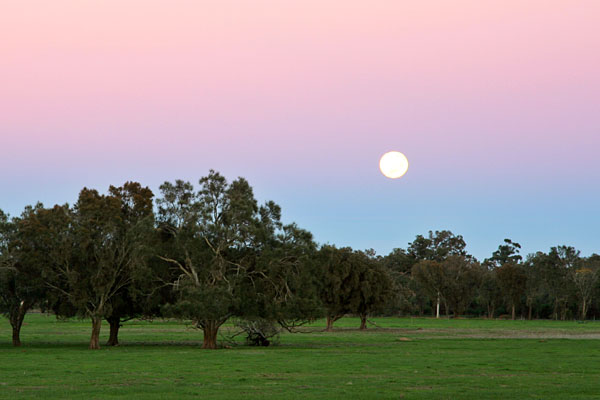 Moon setting through sunrise colours