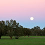 Moon setting through sunrise colours