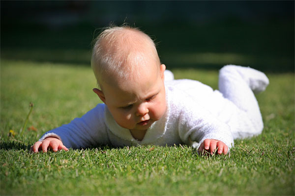 checking out the grass