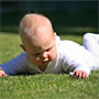 checking out the grass