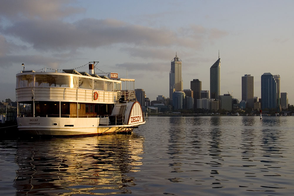 Paddle Steamer Decoy