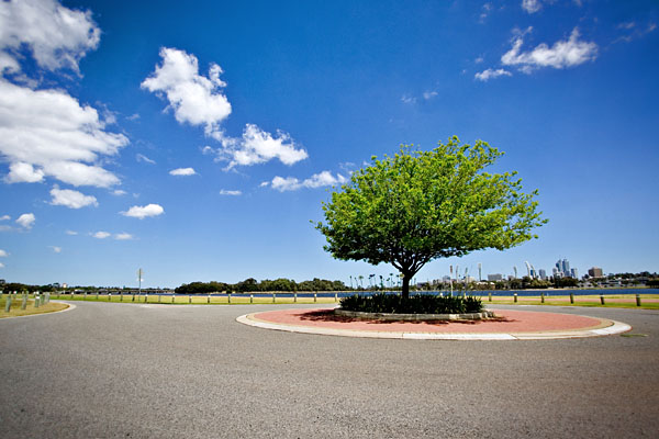 roundabout tree