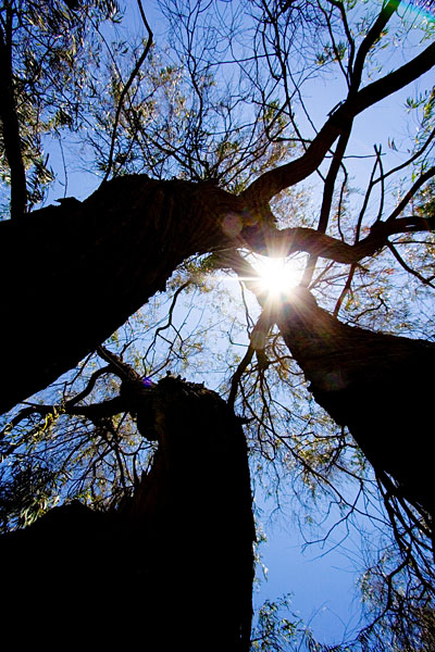 skywards