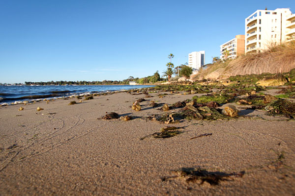 all washed up - flotsam and jetsam