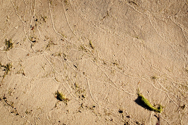 water marks on the sand