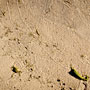 water marks on the sand