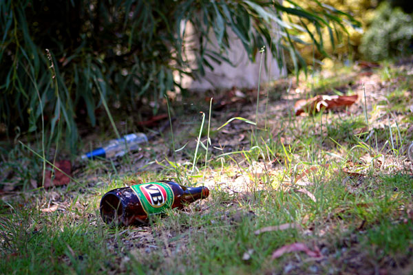 bogan litter