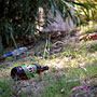 bogan litter